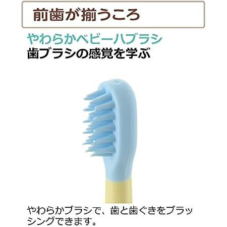 Richell - T.L.I Try Baby Toothbrush Set for Back Teeth (4 Pieces) Baby Toothbrush