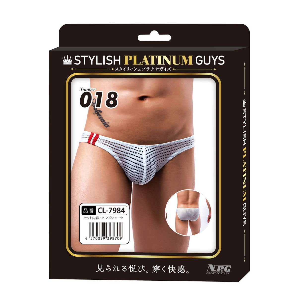 Stylish Platinum Guys - Men's Sheer Underwear Collection CherryAffairs