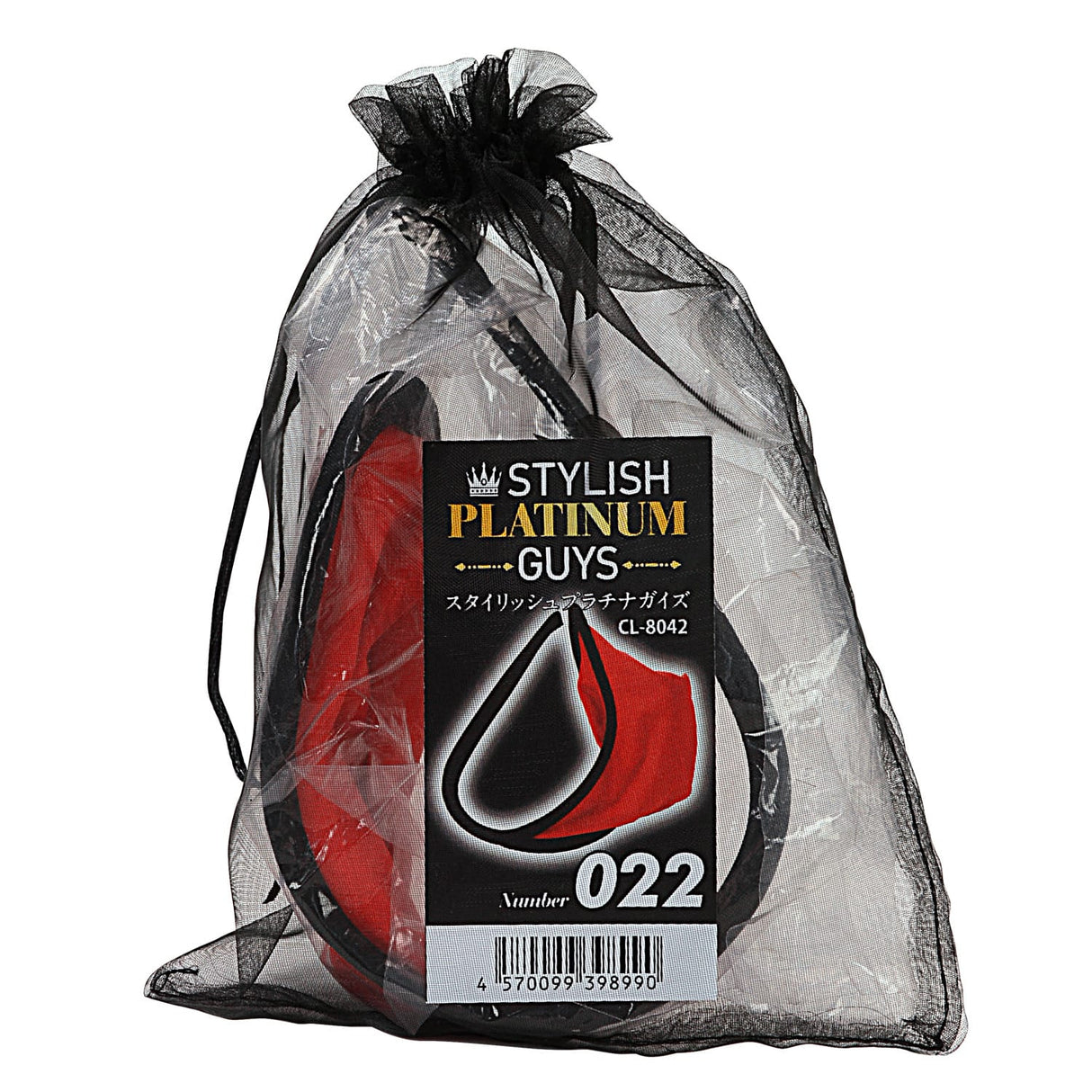 Stylish Platinum Guys - Men's Sheer Underwear Collection CherryAffairs