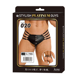 Stylish Platinum Guys - Men's Sheer Underwear Collection CherryAffairs